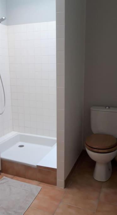 Holiday home Maisonnette L'olivier Bleu Nantes